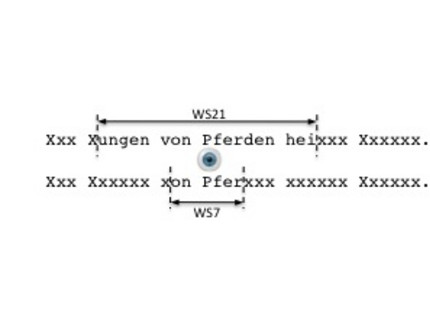 fixation point (moving-window)