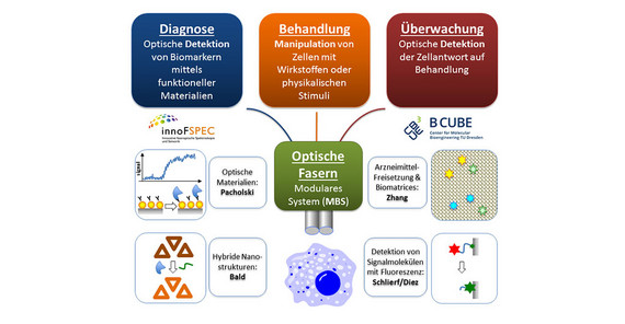 Vision of the MetaZIKs OptiZeD for the development of an integral multiparameter biosensor system (MBS). Photo: © Yixin Zhang