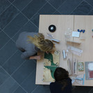 tech caching Parcours