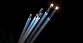 Optische Fasern, deren Spitzen mit unterschiedlichen funktionellen Nanomaterialien (Goldnanostrukturen, poröses Silicium, stimuli-responsive Hydrogele) ausgestattet wurden. | Foto: Thomas Roese