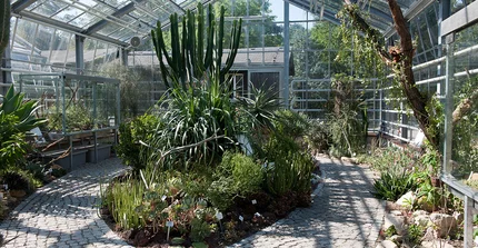 Blick ins Sukkulentenhaus des Botanischen Gartens der Universität Potsdam