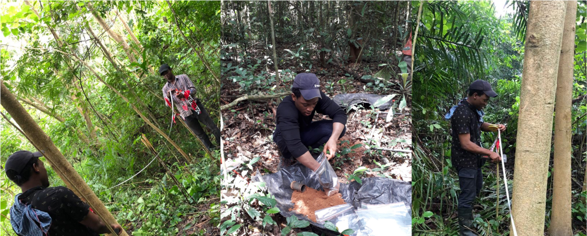 Fieldwork in Ghana: PhD candidates and master's students establishing plots, collecting samples and measuring trees