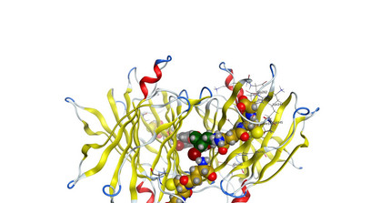 Protein in 3D-Struktur