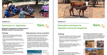 Preview of factsheets 16 and 17