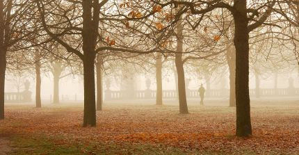 Neues Palais an einem Herbstmorgen mit Nebel