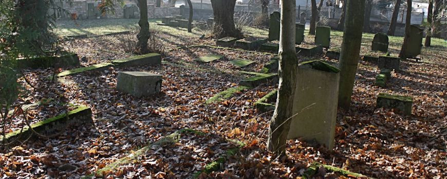Restauriertes Gräberfeld des Jüdischen Friedhofs in Witnica
