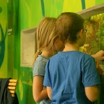 Zwei Kinder schauen in ein Aquarium