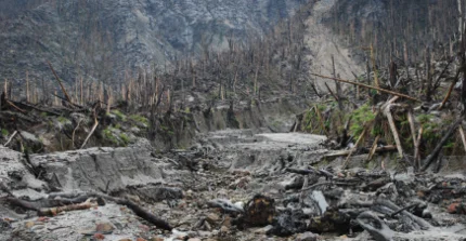 Ecogeomorphology under disturbance