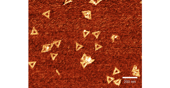 DNA-Origami-Nanostrukturen