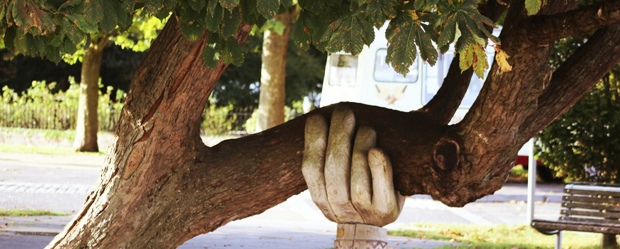 Tree supported by hand sculpture