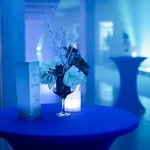 Im blauen Winterlicht. Foto: C. Freytag | rotschwarzdesign