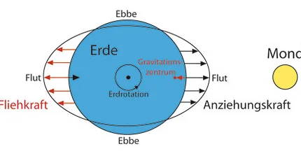 Wie entstehen Ebbe und Flut (die Gezeiten)?