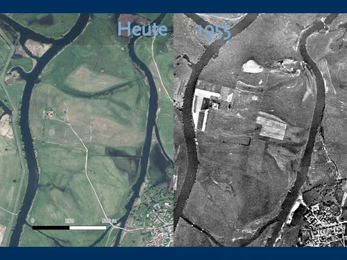 Luftaufnahmen der Gülper Insel im Vergleich Heute und 1955.