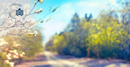 Foto Weg mit Büschen