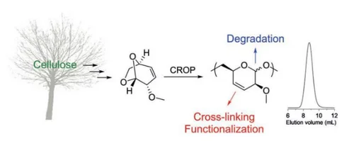 Schematic representation of the polymerization and material conversion including structural formulas