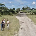 a group of people is standing in a national park in Namibia