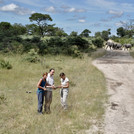 a group of people is standing in a national park in Namibia