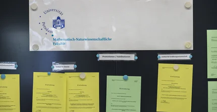 Info Wand