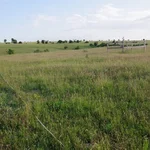 Grassland research site