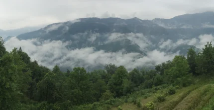 Impressions from the 2019 Achara fieldwork