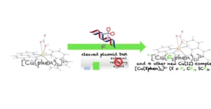 Cu(II)-Komplexe im Vergleich 1,10-Phenanthrolin - 5,6-Difluor-1,10-phenanthrolin: erhöhte oxidative DNA-Spaltaktivität auch ohne Reduktionsmittel