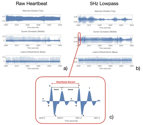 Preprocessing of the heartbeat recordings.