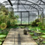 Botanical Garden
