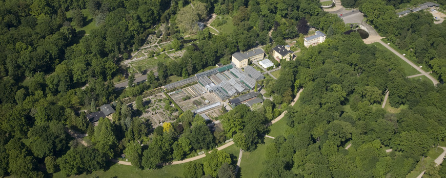 Ein Luftbild von den Anlagen und Häusern des Botanischen Gartens.