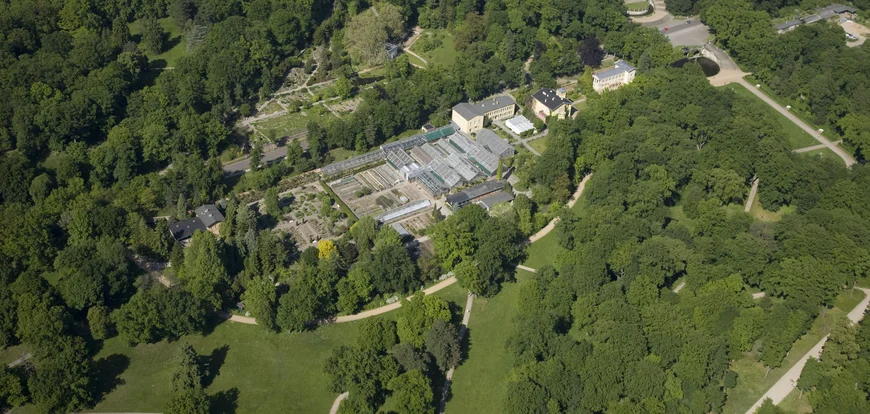 Ein Luftbild von den Anlagen und Häusern des Botanischen Gartens.