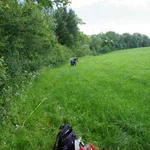 Vegetation surveying and plant sampling
