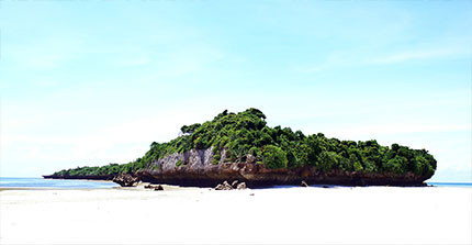 Chumbe Island vor der Küste von Sansibar bei Ebbe. | Foto: Dr. Michael Burkart.