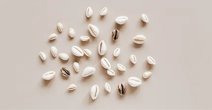 Viele kleine verschiedene Muscheln auf beigem Hintergrund