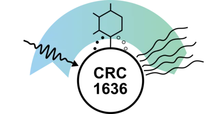 The logo of the CRC 1636 bridging physics and chemistry at metal nanoparticles
