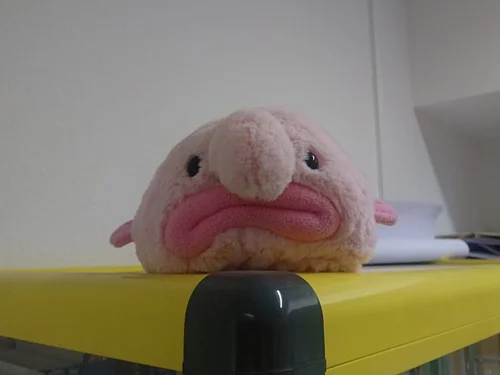 Stofftier mit traurigem Gesicht