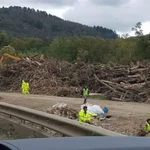 Near Ahrbrück 11/10/2021: Clean-up of trees and branches in the river plain