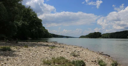 Kiesbänke der Donau im Nationalpark Donauauen