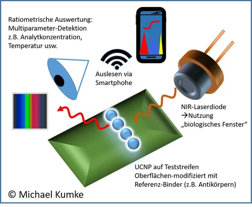 Abbildung eines optischen Schnelltests
