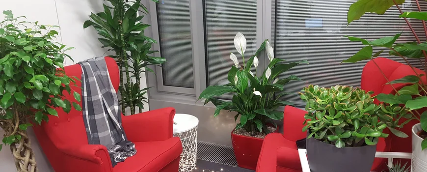Zwei rote Sessel mit Tisch dazwischen, eine Decke liegt auf einem Sessel. Umgeben von großen grünen Pflanzen, im Hintergrund eine Fensterfront mit Jalousien.