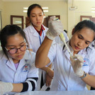 Pipetting the sample