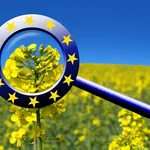Jean Kobben - Fotolia