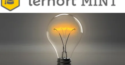Lernort MINT über einer Glühlampe vor grauem Grund