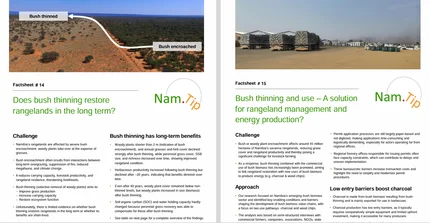 Preview of factsheet 14 on bush thinning and factsheet 15 on bush use