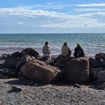 Studierende sitzen am Strand und blicken aufs Meer