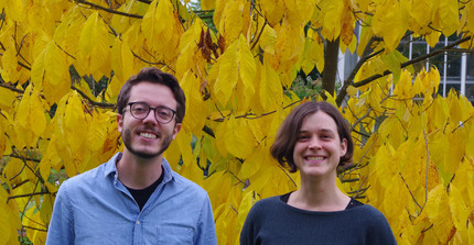 people standing in front of a yellow coloured tree