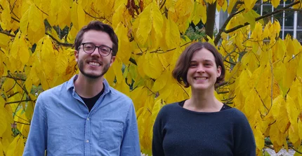 people standing in front of a yellow coloured tree