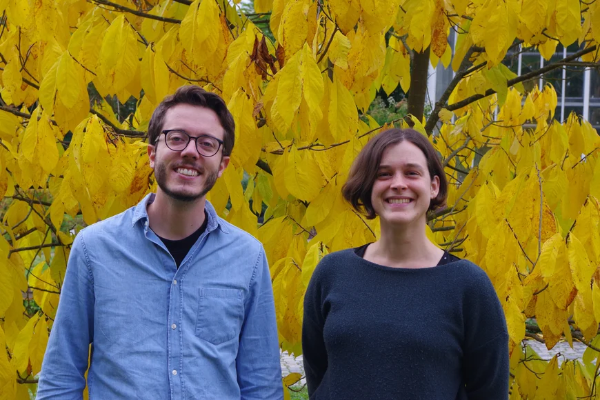 people standing in front of a yellow coloured tree