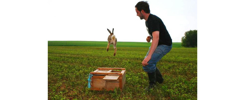 Photo capturing movement ecology