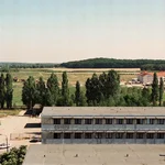 Grüne Wiese: Im Norden des Campus Golm sollen nach und nach neue Gebäude entstehen.