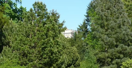 Alpinum im Paradiesgarten