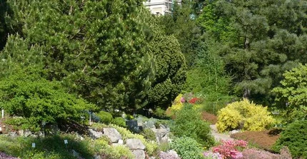 Alpinum im Paradiesgarten